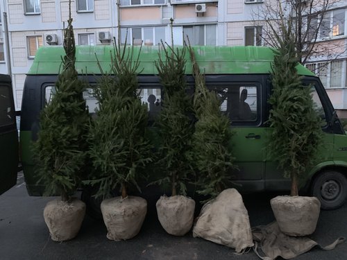 Новий рік