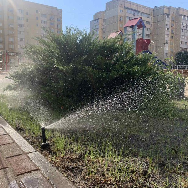 клумба