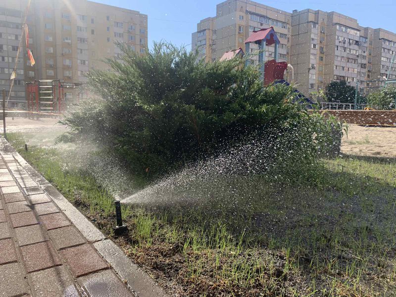 клумба